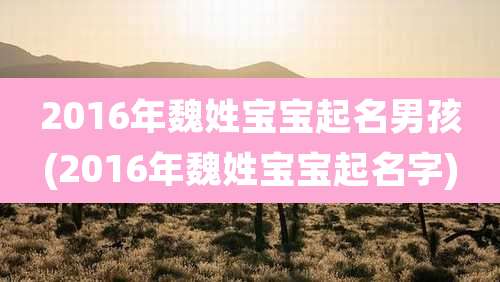 2016年魏姓宝宝起名男孩(2016年魏姓宝宝起名字)