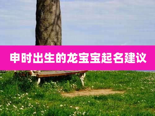 申时出生的龙宝宝起名建议