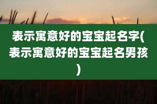表示寓意好的宝宝起名字(表示寓意好的宝宝起名男孩)
