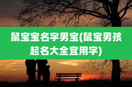 鼠宝宝名字男宝(鼠宝男孩起名大全宜用字)