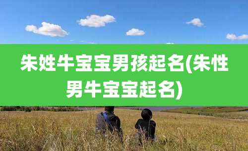 朱姓牛宝宝男孩起名(朱性男牛宝宝起名)