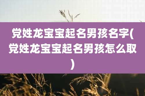 党姓龙宝宝起名男孩名字(党姓龙宝宝起名男孩怎么取)
