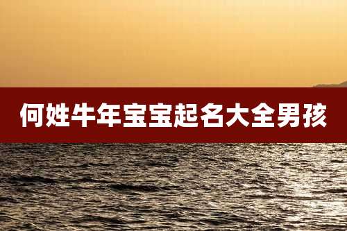 何姓牛年宝宝起名大全男孩