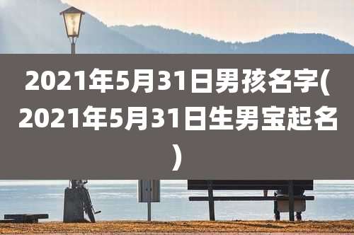2021年5月31日男孩名字(2021年5月31日生男宝起名)