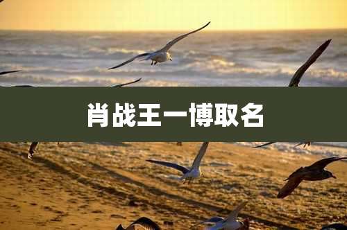 肖战王一博取名