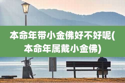 本命年带小金佛好不好呢(本命年属戴小金佛)