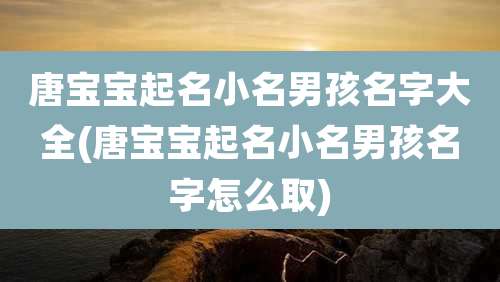 唐宝宝起名小名男孩名字大全(唐宝宝起名小名男孩名字怎么取)