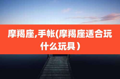 摩羯座,手帐(摩羯座适合玩什么玩具）