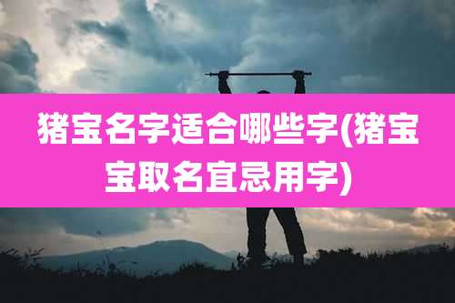 猪宝名字适合哪些字(猪宝宝取名宜忌用字)
