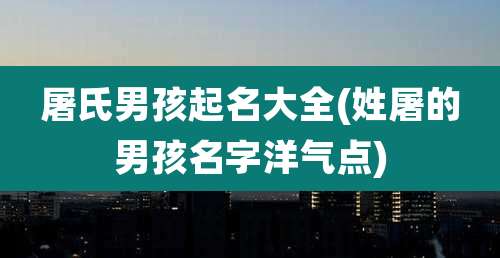 屠氏男孩起名大全(姓屠的男孩名字洋气点)