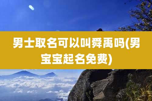 男士取名可以叫舜禹吗(男宝宝起名免费)