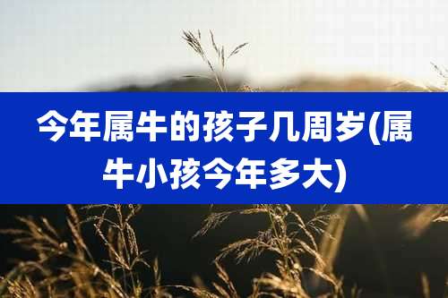 今年属牛的孩子几周岁(属牛小孩今年多大)