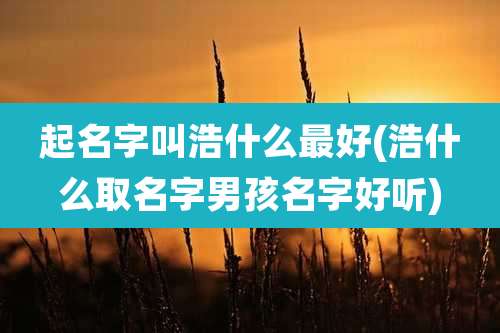 起名字叫浩什么最好(浩什么取名字男孩名字好听)