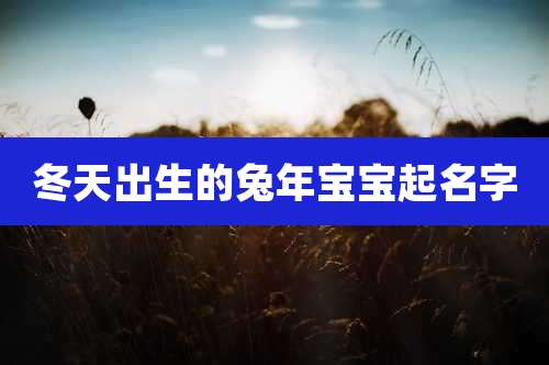 冬天出生的兔年宝宝起名字