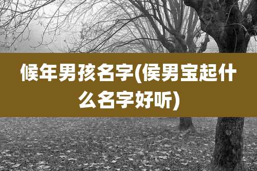 候年男孩名字(侯男宝起什么名字好听)