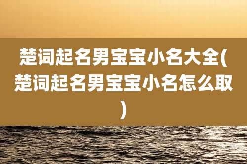 楚词起名男宝宝小名大全(楚词起名男宝宝小名怎么取)