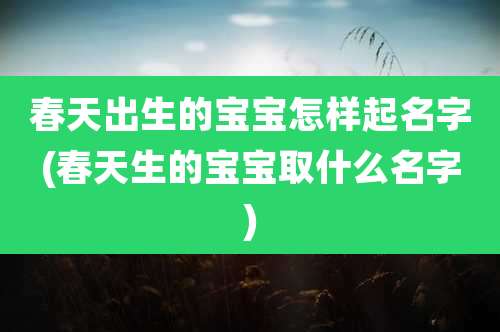 春天出生的宝宝怎样起名字(春天生的宝宝取什么名字)