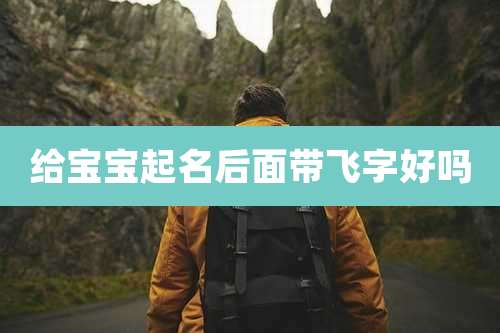 给宝宝起名后面带飞字好吗