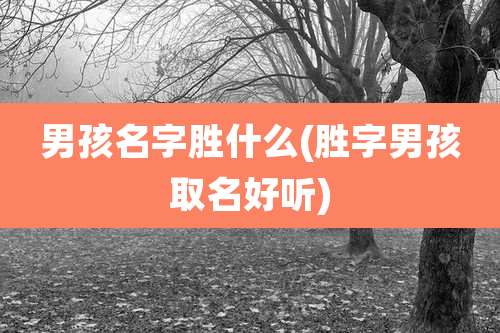 男孩名字胜什么(胜字男孩取名好听)