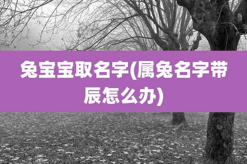 兔宝宝取名字(属兔名字带辰怎么办)