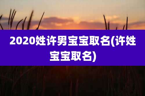 2020姓许男宝宝取名(许姓宝宝取名)
