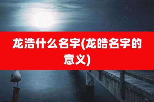 龙浩什么名字(龙皓名字的意义)
