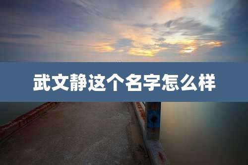 武文静这个名字怎么样