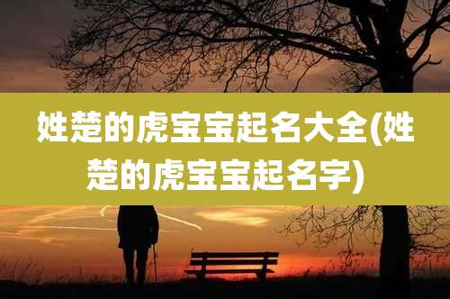 姓楚的虎宝宝起名大全(姓楚的虎宝宝起名字)