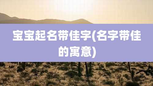 宝宝起名带佳字(名字带佳的寓意)