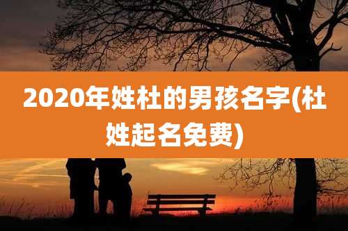 2020年姓杜的男孩名字(杜姓起名免费)