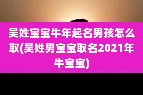 吴姓宝宝牛年起名男孩怎么取(吴姓男宝宝取名2021年牛宝宝)