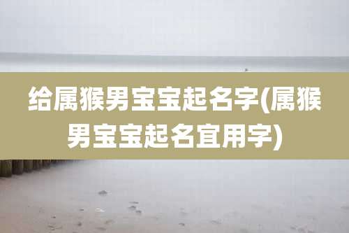 给属猴男宝宝起名字(属猴男宝宝起名宜用字)