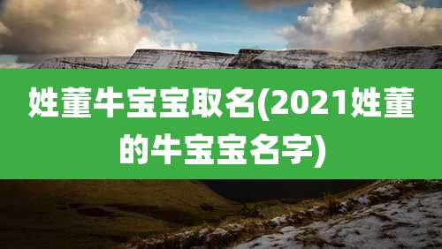 姓董牛宝宝取名(2021姓董的牛宝宝名字)