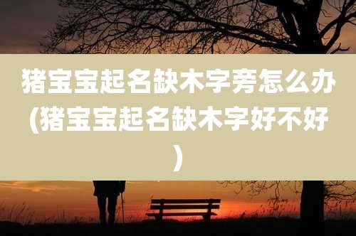 猪宝宝起名缺木字旁怎么办(猪宝宝起名缺木字好不好)