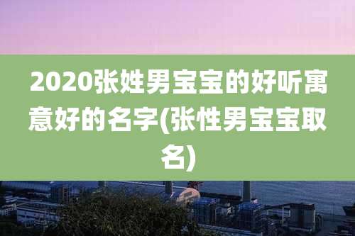 2020张姓男宝宝的好听寓意好的名字(张性男宝宝取名)