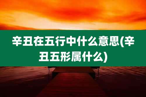 辛丑在五行中什么意思(辛丑五形属什么)