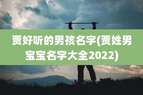 贾好听的男孩名字(贾姓男宝宝名字大全2022)