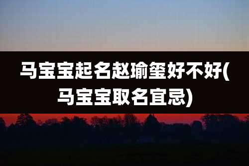 马宝宝起名赵瑜玺好不好(马宝宝取名宜忌)