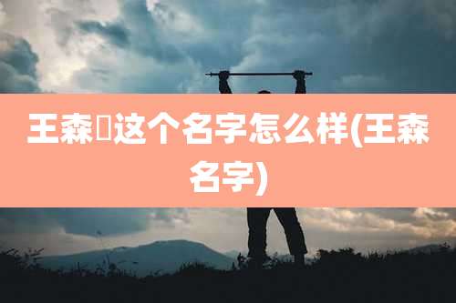 王森垚这个名字怎么样(王森名字)