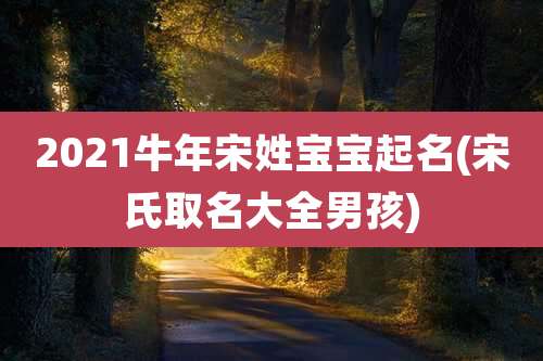 2021牛年宋姓宝宝起名(宋氏取名大全男孩)