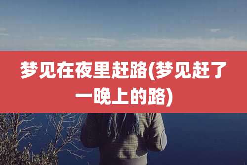 梦见在夜里赶路(梦见赶了一晚上的路)