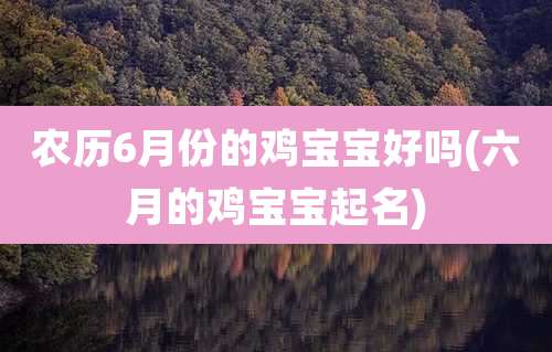 农历6月份的鸡宝宝好吗(六月的鸡宝宝起名)