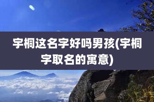 宇桐这名字好吗男孩(宇桐字取名的寓意)