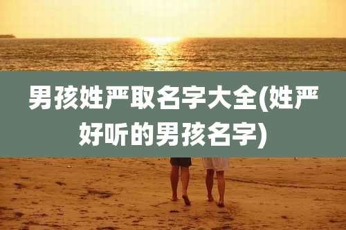 男孩姓严取名字大全(姓严好听的男孩名字)