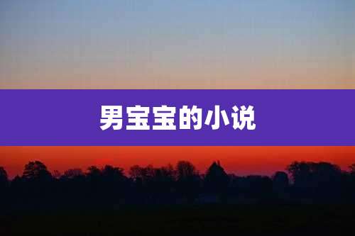 男宝宝的小说