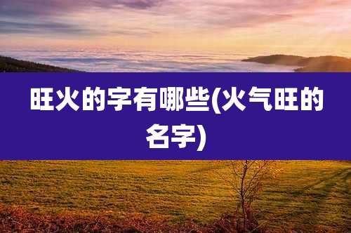 旺火的字有哪些(火气旺的名字)