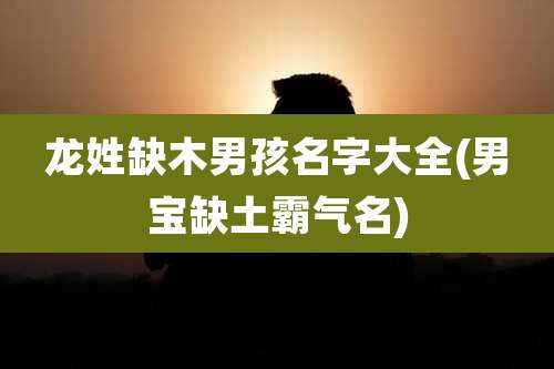 龙姓缺木男孩名字大全(男宝缺土霸气名)
