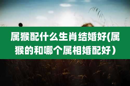 属猴配什么生肖结婚好(属猴的和哪个属相婚配好）