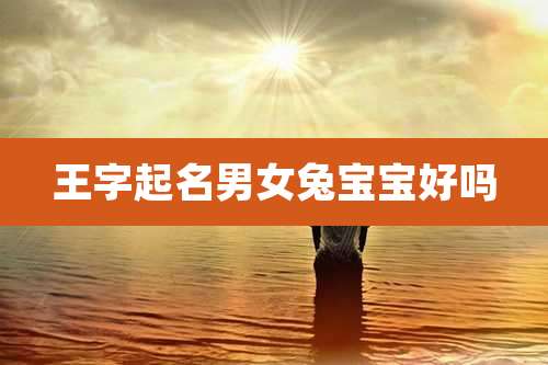 王字起名男女兔宝宝好吗