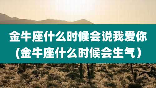 金牛座什么时候会说我爱你(金牛座什么时候会生气)